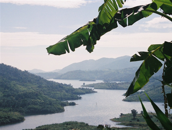 southern vietnam